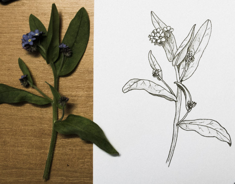 Guess Which Technique or Tool I’m Drawing With
