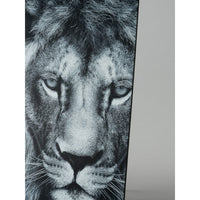 Airplac Black Foam Board 3 mm, various sizes, image 4