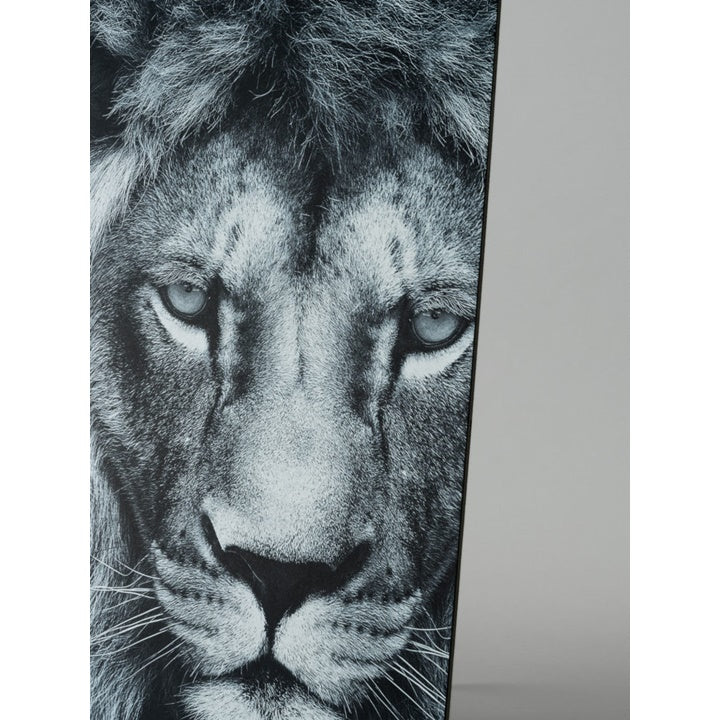 Airplac Black Foam Board 3 mm, various sizes, image 4