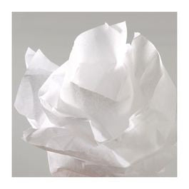 CANSON Silk Tissue Paper Roll 50 x 500 cm 20 g