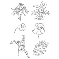 Clear Stamps - Meadow Flowers