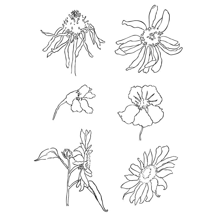 Clear Stamps - Meadow Flowers