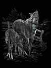 Creative Engraving Set - Horses