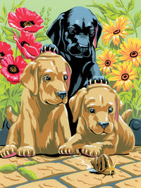 Creative Painting Set, A4, Labrador Puppies