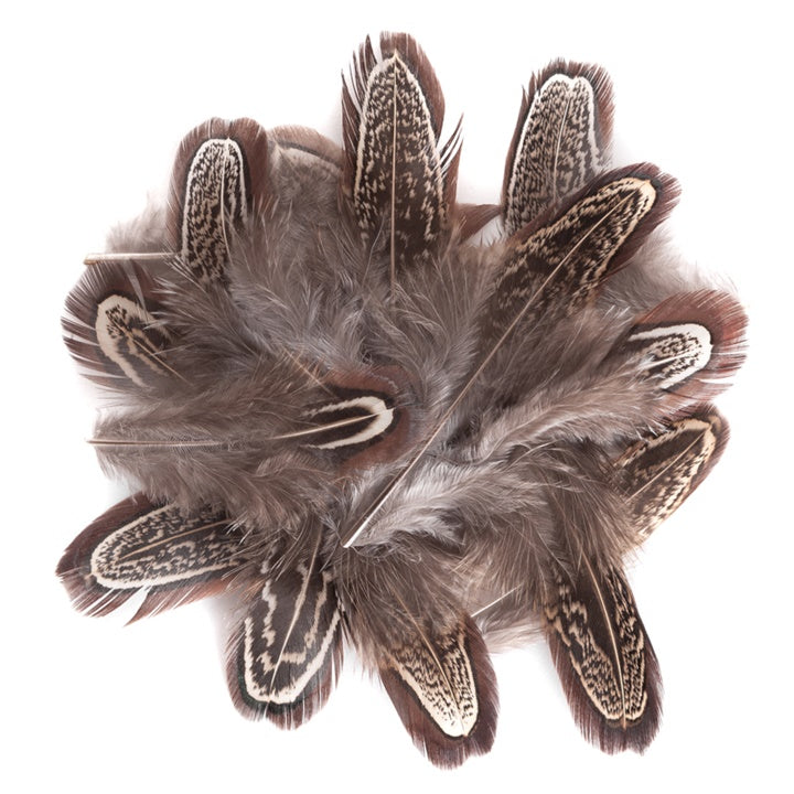 Dark Decorative Pheasant Feathers / Set of 15