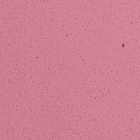 Decorative EVA Foam Sheet, 2 mm, 20 × 30 cm – Pastel rose
