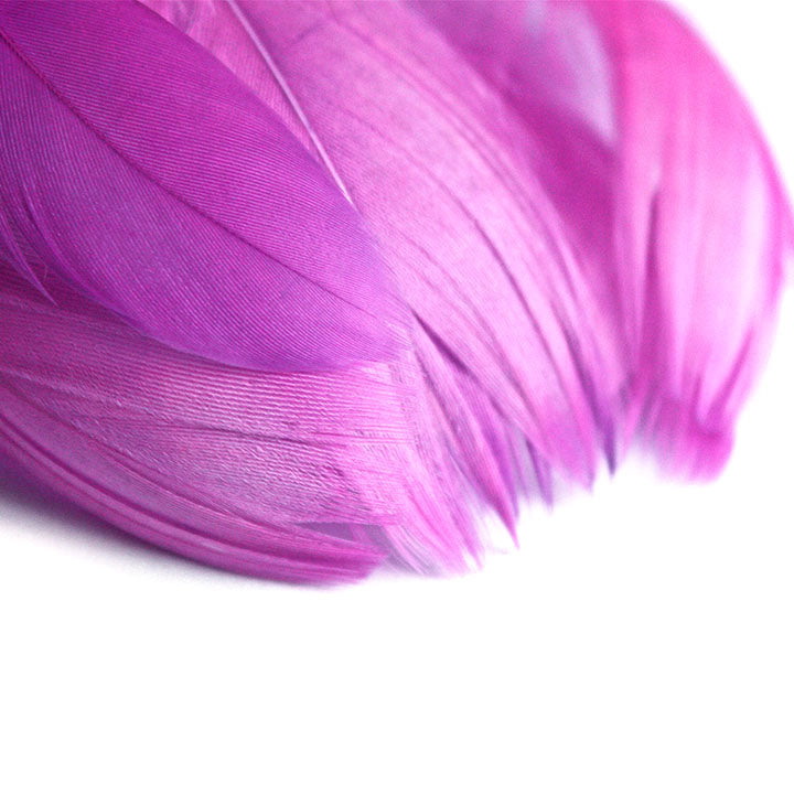 Decorative Feathers 190 pcs | various colors — image 1
