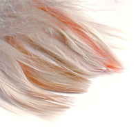 Decorative Feathers 190 pcs | various colors — image 5