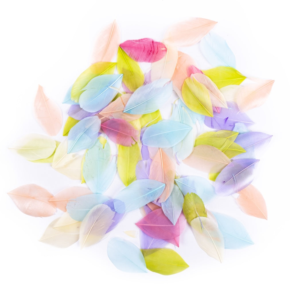 Decorative Feathers 6 cm, 5 g, Pastel