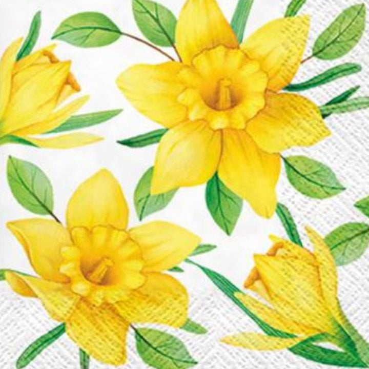 Decoupage Napkins Daffodils in Bloom - 1 pc