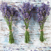 Decoupage Napkins - Lavender Bundles - 1 pc