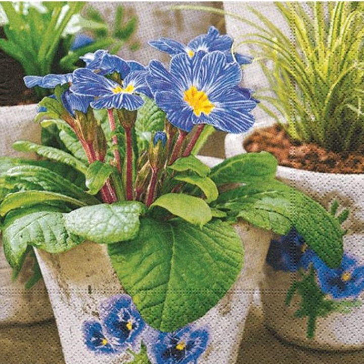 Decoupage Napkins Zebra Blue - 1 pc