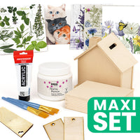 Decoupage Set for Creative Workshops