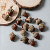 Dried Plants for Soap | Various Types and Weights — Image 10