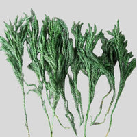 Dried Plants for Soap | Various Types and Weights — Image 11