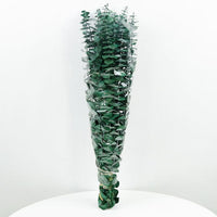 Dried Plants for Soap | Various Types and Weights — Image 12