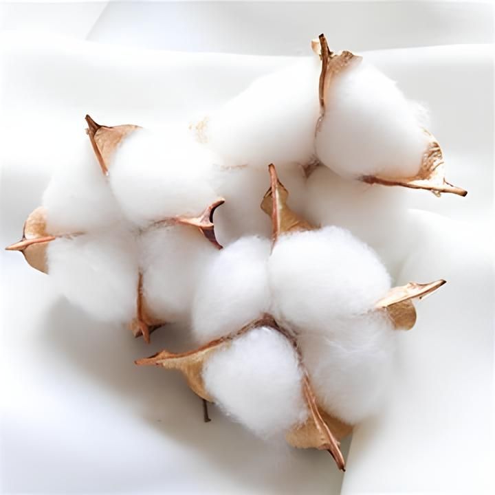 Dried Plants for Soap | Various Types and Weights — Image 3
