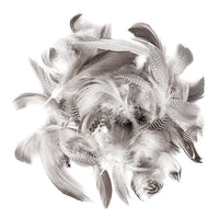 Duck Feathers, 5–12 cm / 5 g