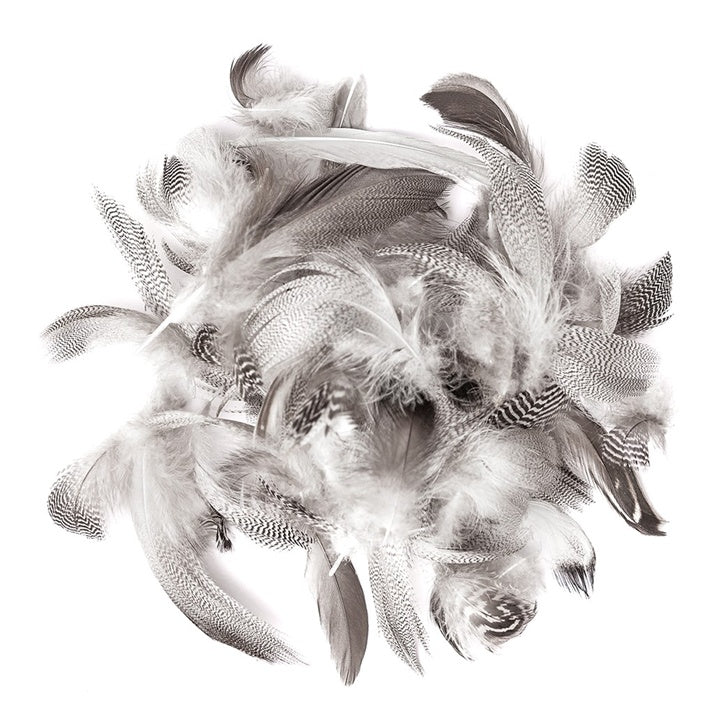 Duck Feathers, 5–12 cm / 5 g