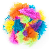 Exotic Decorative Feathers 5 g