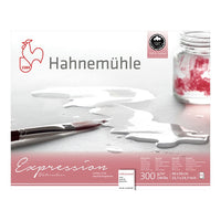 Hahnemühle Expression Watercolor Paper | various sizes — image 1