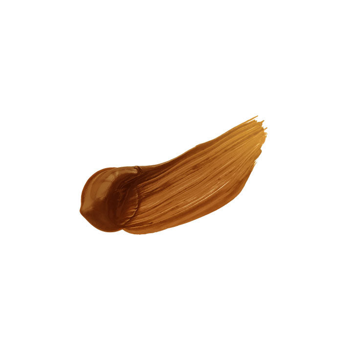 Holbein Heavy Body Professional Acrylic Paints, Brown Shades — image 4