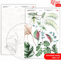 King Protea Scrapbooking Paper A4 – No. 7