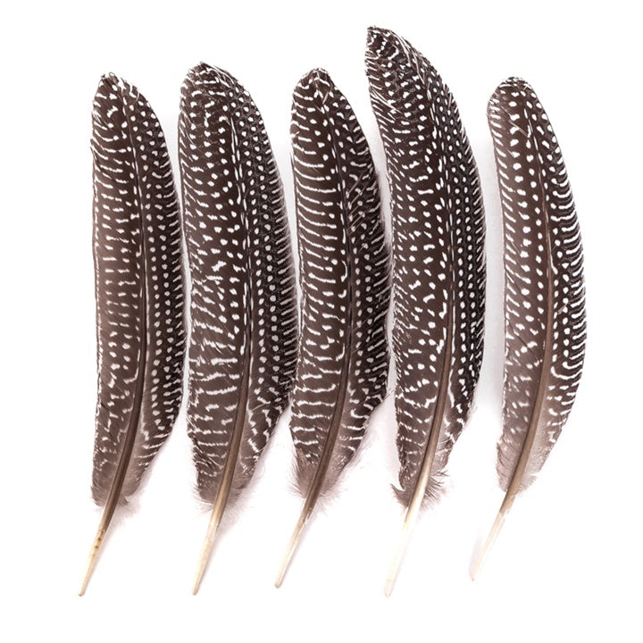 Large Decorative Pheasant Feathers / Set of 5