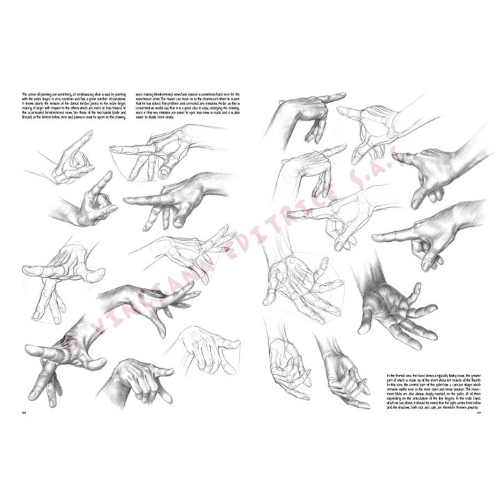 Leonardo Collection 03 Drawing Basics — image 5