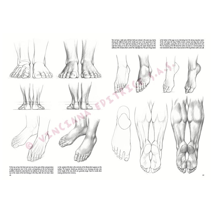 Leonardo Collection 03 Drawing Basics — image 1