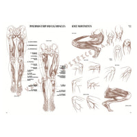 Leonardo Collection 04 Anatomy