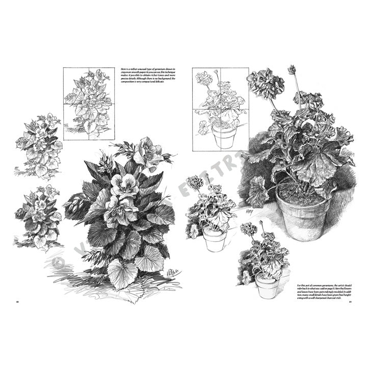 Leonardo Collection 21 Flowers, image 4