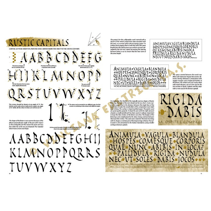 Leonardo Collection 37 Calligraphy — image 1