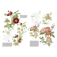 Leonardo Collection 42 Roses - image 3