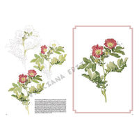 Leonardo Collection 42 Roses - image 6