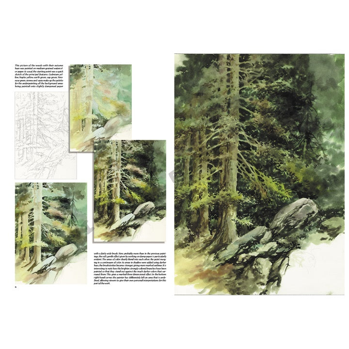 Leonardo Collection 45 Trees and Leaves — image 1