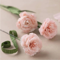 Mini Crepe Paper Carnation Set — image 2