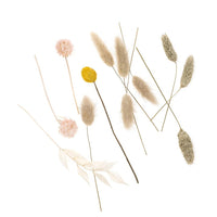 Mini Dried Bouquet "Beige Touch" / 20 cm — image 2