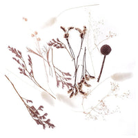 Mini Dried Bouquet “Miss Mauve” / 20 cm — Image 1