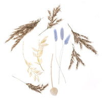 Mini Dried Bouquet “Savannah Blue” / 20 cm — image 2
