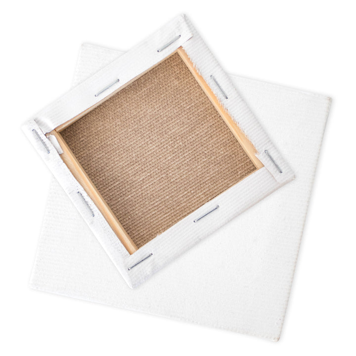 MINI Stretched Canvas | various sizes — image 1