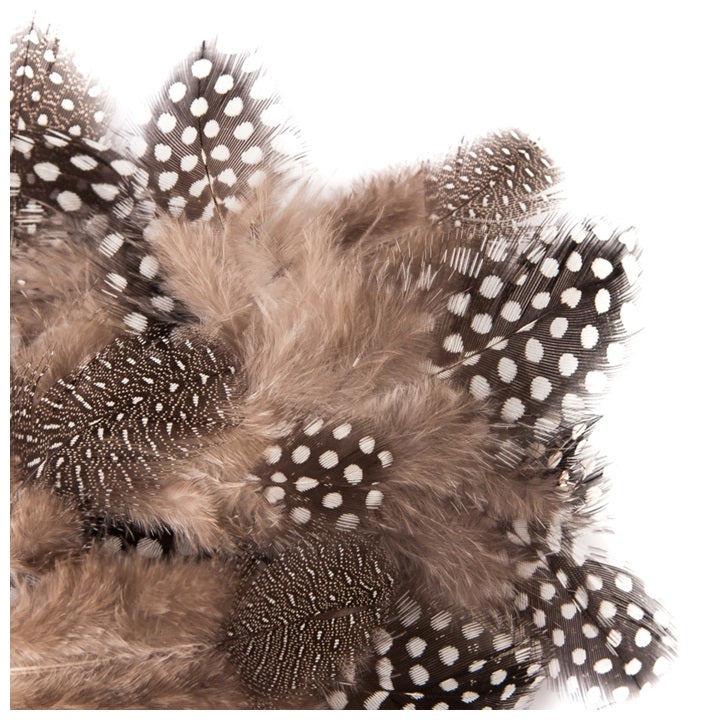 Natural Quail Feathers 5–12 cm / 5 g