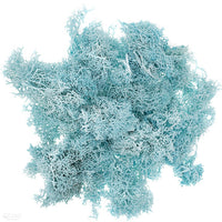 Natural Reindeer Moss 30 g | various shades — image 2