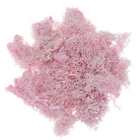 Natural Reindeer Moss 30 g | various shades — image 5