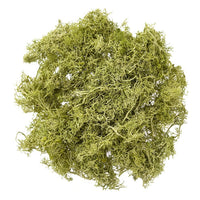 Natural Reindeer Moss 30 g | various shades — image 6