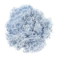 Natural Reindeer Moss 30 g | various shades — image 8