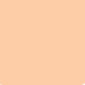 Pentart JUNIOR PAINTS Tempera Paint 100 ml – compact powder
