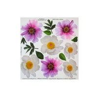 Peony Thermoformable Film for Sospeso Trasparente Technique 23x24 cm