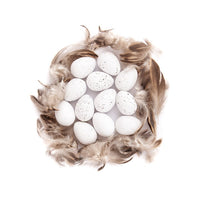 Plastic Quail Eggs and Feathers Set