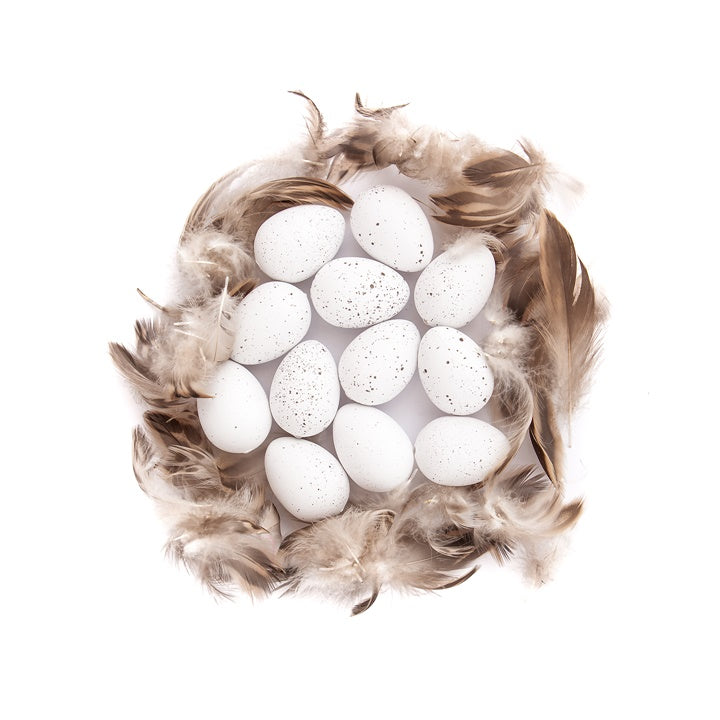 Plastic Quail Eggs and Feathers Set